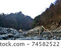 冬季清晨的同志河和衝岩（Noro Lodge Campground） 74582522