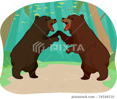 Competition Bears Illustration Competition Bears Illustration 74584510