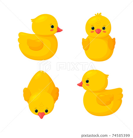 Rubber ducks for bathing. Set of four yellow plastic ducks isolated in white background. Vector illustration 74585399