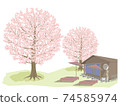 Scenery with cherry blossoms_Spring (Sakura_01) 74585974