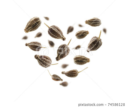 Anise seeds in the shape of a heart on a white background 74586128