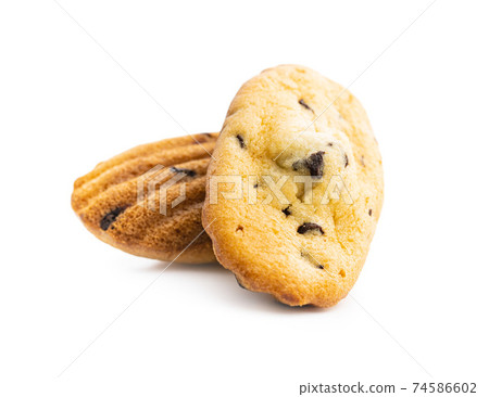 Madeleine with chocolate. Traditional French small cakes. 74586602
