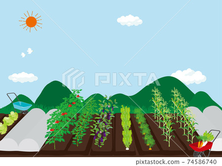 場景觀圖 74586740