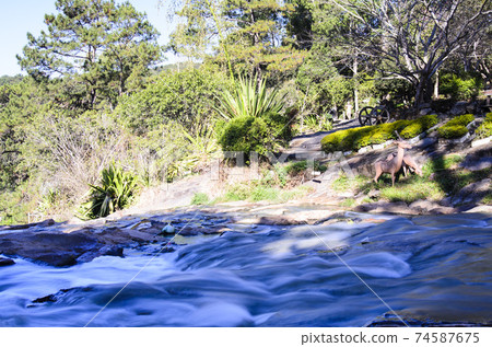 Landscape photo: Cam Ly waterfall  74587675