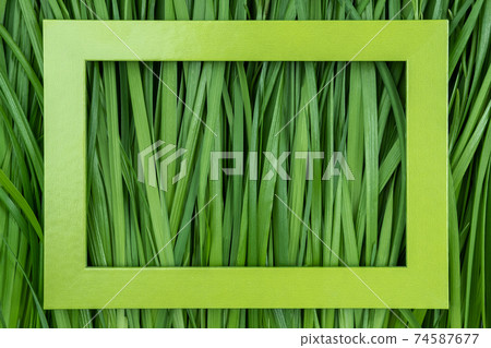 Green frame on grass background, texture, close-up 74587677
