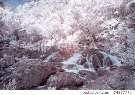 Infrared landscape photo: Datanla waterfall  74587773