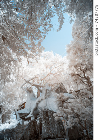 Infrared landscape photo: Datanla waterfall  74587778