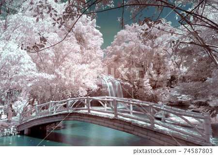 Infrared landscape photo: Prenn waterfall Infrared landscape photo: Prenn waterfall 74587803