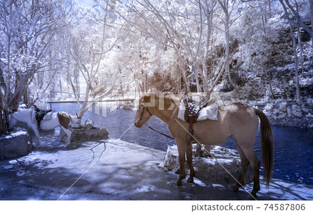 Infrared landscape photo: Prenn waterfall  74587806