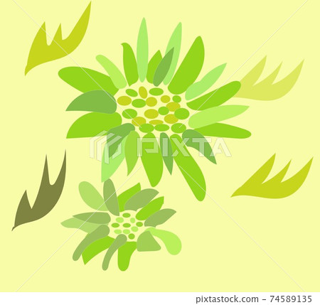 Large butterbur and small butterbur Large butterbur and small butterbur 74589135