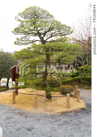 [熊本縣]水前寺城 74589644