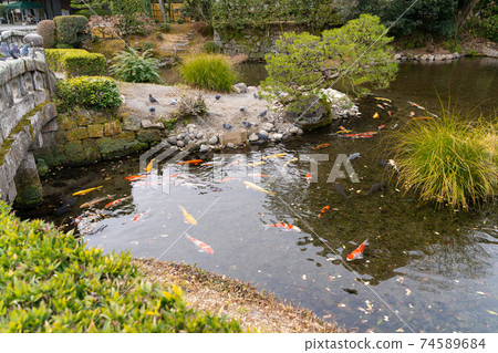 [熊本縣]水前寺城 74589684