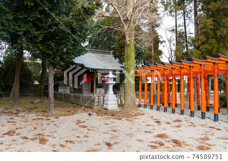 [熊本縣]水前寺城 74589751