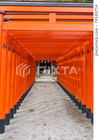 [熊本縣]水前寺城 74589754