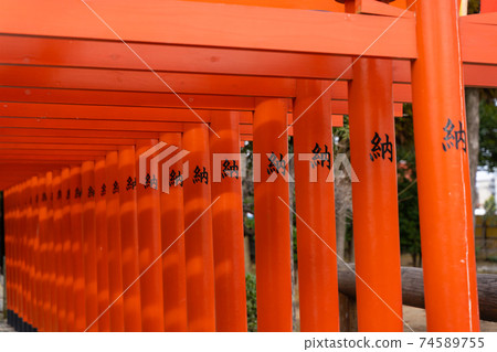 [熊本縣]水前寺城 74589755