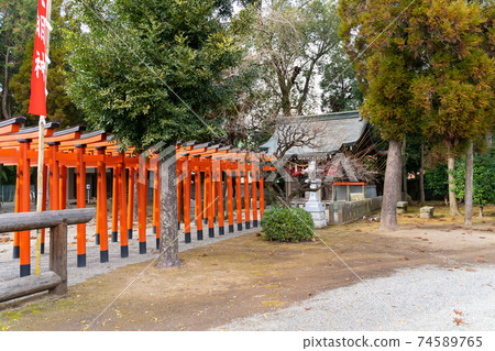 [熊本縣]水前寺城 74589765