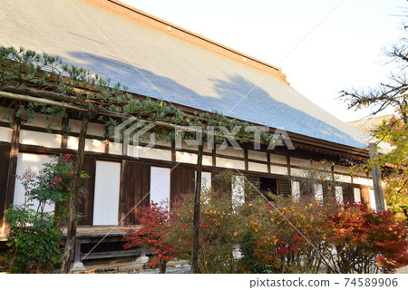 Gassandera的秋葉＃36 74589906