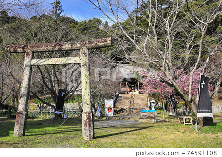 Shimozen神社 Shimozen神社 74591108