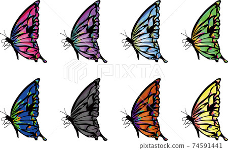Simple and beautiful butterfly set 74591441