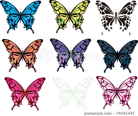 從上面看的簡單和美麗的蝴蝶套 從上面看的簡單和美麗的蝴蝶套 74591445