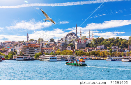 Seagull flies by the Eminonu Pier and Suleymaniye Mosque, Istanbul Seagull flies by the Eminonu Pier and Suleymaniye Mosque, Istanbul 74591495