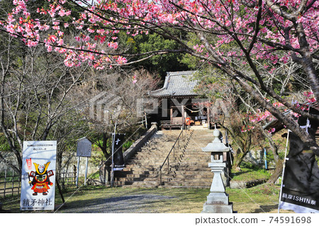 Kuwashihoko神社川津櫻和主神社 Kuwashihoko神社川津櫻和主神社 74591698