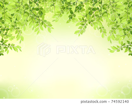 新鮮的綠色框/背景材料（水平） 74592140