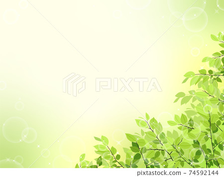 新鮮的綠色框/背景材料（水平） 74592144