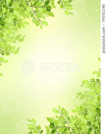Fresh green frame / background material (vertical) 74592146