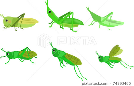 可愛的手寫蚱hopper套 可愛的手寫蚱hopper套 74593460