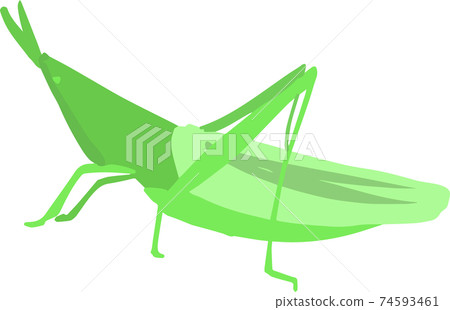 可愛的蚱hopper 可愛的蚱hopper 74593461