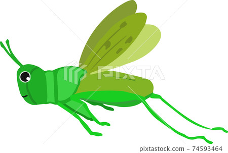 飛行可愛的遷徙蝗蟲 飛行可愛的遷徙蝗蟲 74593464