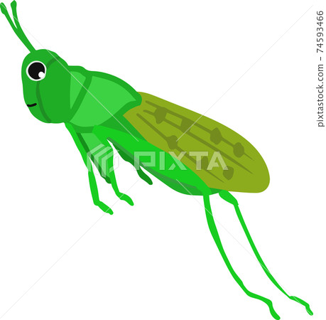 可愛的蚱to跳 74593466