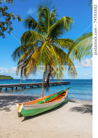 Wooden boat under a palm tree on the on tropical beach - the caribbean island of Martinique 74593882