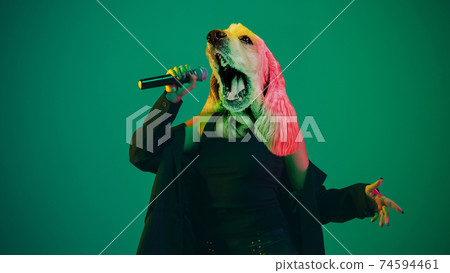 Talented dog, professional musician performing on green background in neon light. Concept of music, hobby, festival, contemporary art collage. Modern design. Talented dog, professional musician performing on green background in neon light. Concept of music, hobby, festival, contemporary art collage. Modern design. 74594461