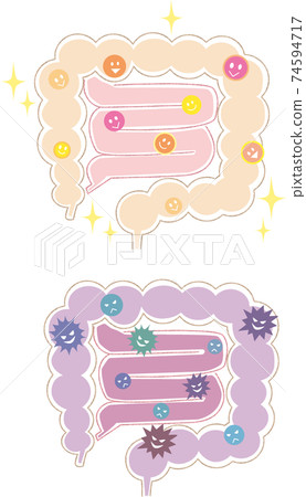 腸道環境 74594717