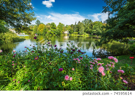Lazienki Park in Warsaw Lazienki Park in Warsaw 74595614