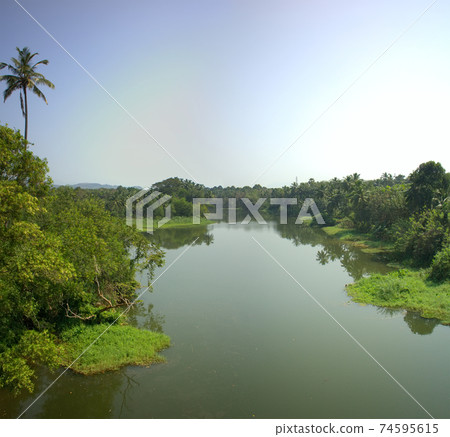 river in jungle river in jungle 74595615