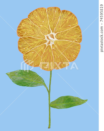Tangerine flower design light blue back Tangerine flower design light blue back 74595819