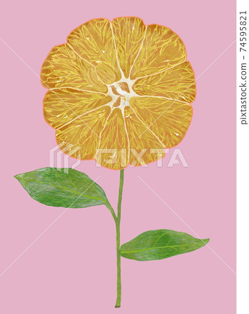 Tangerine flower design pink back Tangerine flower design pink back 74595821