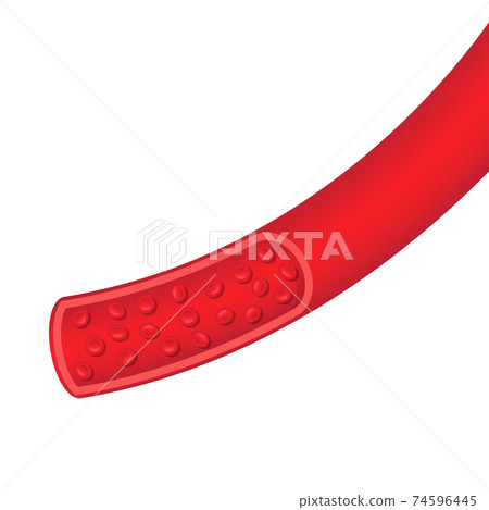 Blood vessel vector design illustration... - Stock Illustration ...