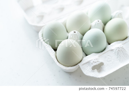 Araucana egg　 74597722
