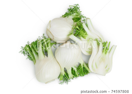 fresh fennel bulb isolated on white background with clipping path and full depth of field. Top view. Flat lay 74597808