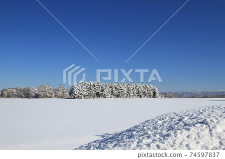 北海道風光“雪原” 北海道風光“雪原” 74597837