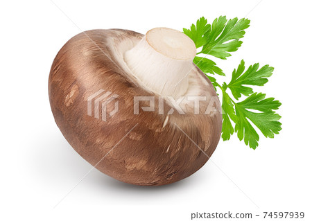 Royal Brown champignon isolated on white background with clipping path and full depth of field Royal Brown champignon isolated on white background with clipping path and full depth of field 74597939