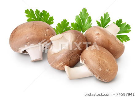 Royal Brown champignon isolated on white background with clipping path and full depth of field Royal Brown champignon isolated on white background with clipping path and full depth of field 74597941