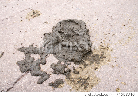 Fresh Cow dung for making organic fertilizer on the road 74598316