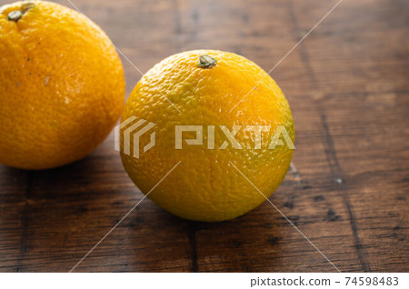 Yellow sweet spring Yellow sweet spring 74598483