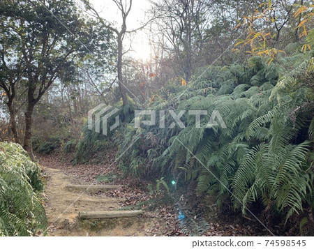小野阿爾卑斯山冬季步道 74598545