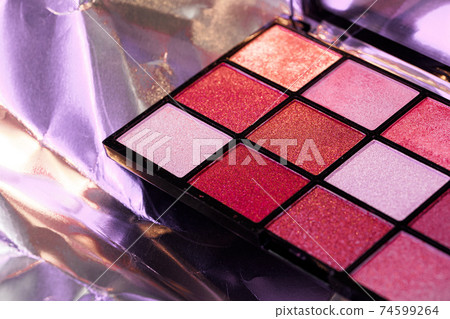 Color professional cosmetic palette on a dark background 74599264